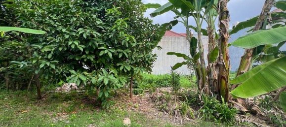 Terreno en Denpasar, Indonesia 420 m² No. 3918 12