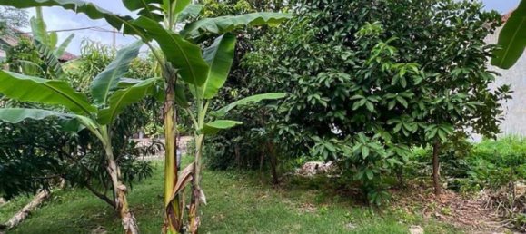 Terreno en Denpasar, Indonesia 420 m² No. 3918 5