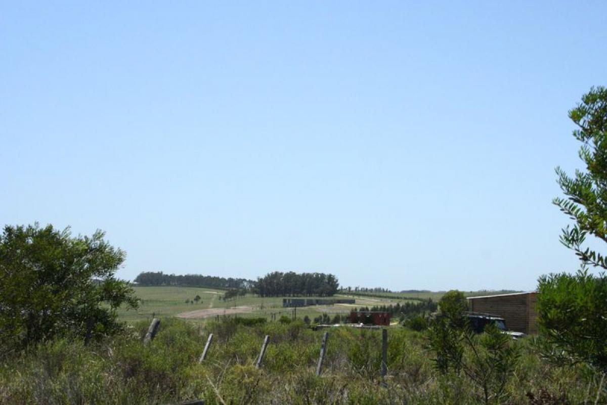 Grundstück in Maldonado, Uruguay, Nr. 14559