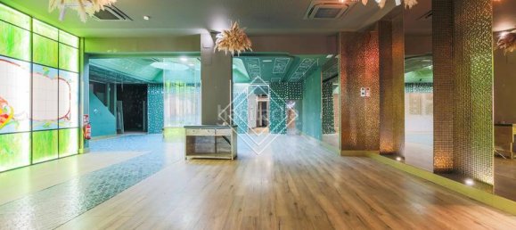 530m² Commercial property in Madrid, Spain No. 29333 5