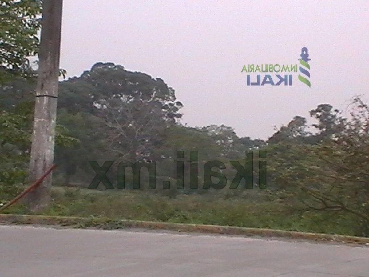  Land in Veracruz, Mexico No. 204759