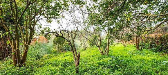 3 Schlafzimmer Haus in Maceda, Portugal, Nr. 187002 26