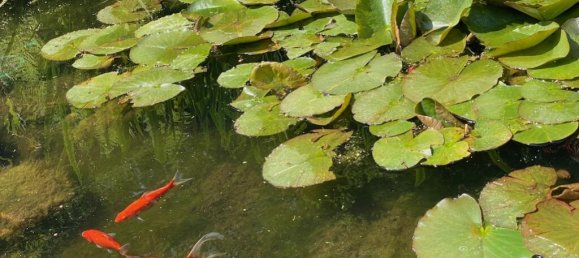 Casa de 4 dormitorios en Crowborough, United Kingdom No. 10385 51