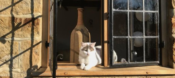 Casa de 4 dormitorios en Crowborough, United Kingdom No. 10385 7