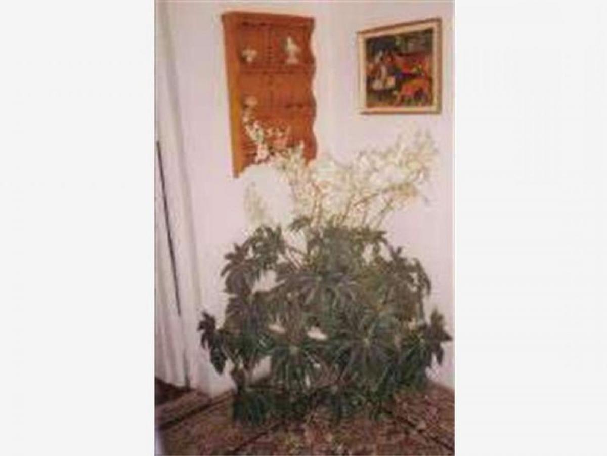 Hotel in Cordoba, Argentina 630m², Nr. 24853