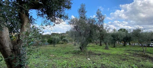 3 bedrooms House in Cabecudo, Portugal No. 42151 19