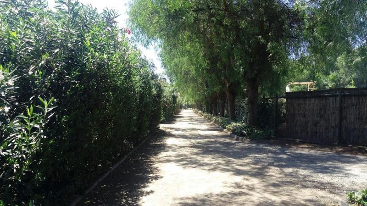  Land in Chacabuco, Chile No. 1337