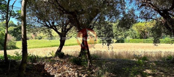 5 chambres Maison à Fano, Italy No. 111439 2