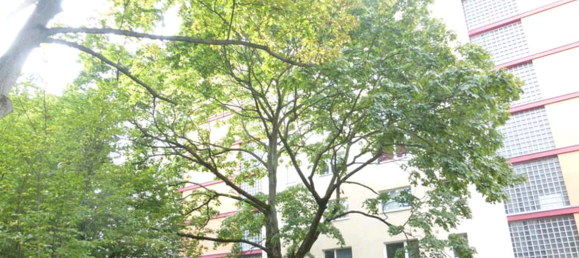 2 rooms Apartment in Wilmersdorf, Germany No. 242009 3