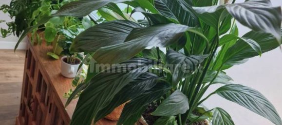 1 bedroom Apartment in Milan, Italy No. 246714 4