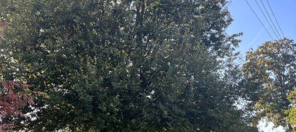 Hotel in Mittelsachsen, Germany 16000000m², Nr. 370121 8