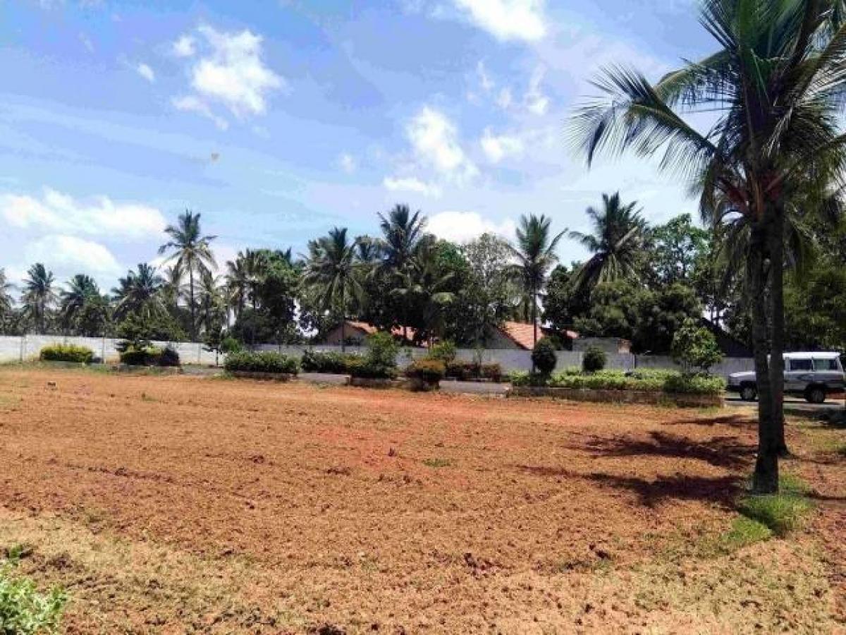  Land in Bangalore, India No. 39791