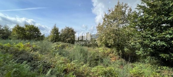 Terrain à Baiao, Portugal 9661m² No. 59413 15