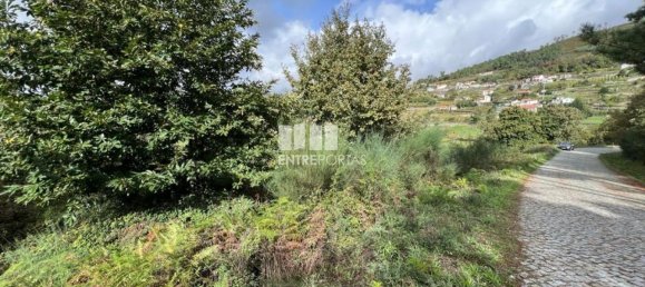 Terrain à Baiao, Portugal 9661m² No. 59413 19