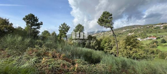 Terrain à Baiao, Portugal 9661m² No. 59413 28