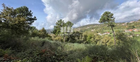 Terrain à Baiao, Portugal 9661m² No. 59413 26