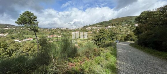 Terrain à Baiao, Portugal 9661m² No. 59413 25