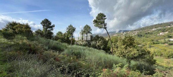 Terrain à Baiao, Portugal 9661m² No. 59413 6