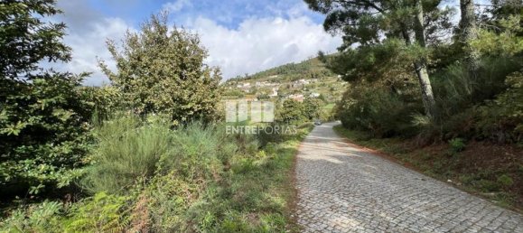 Terrain à Baiao, Portugal 9661m² No. 59413 17