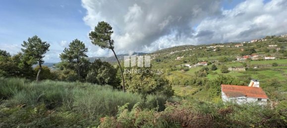 Terrain à Baiao, Portugal 9661m² No. 59413 8