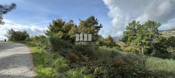 Terrain à Baiao, Portugal 9661m² No. 59413 23