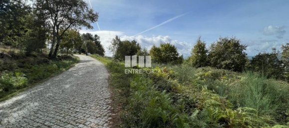 Terrain à Baiao, Portugal 9661m² No. 59413 16