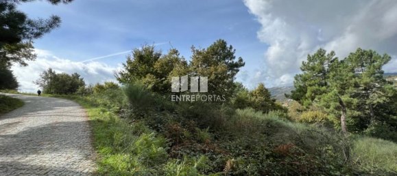 Terrain à Baiao, Portugal 9661m² No. 59413 24