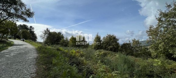 Terrain à Baiao, Portugal 9661m² No. 59413 22