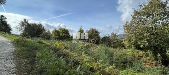 Terrain à Baiao, Portugal 9661m² No. 59413 10