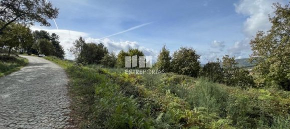 Terrain à Baiao, Portugal 9661m² No. 59413 11