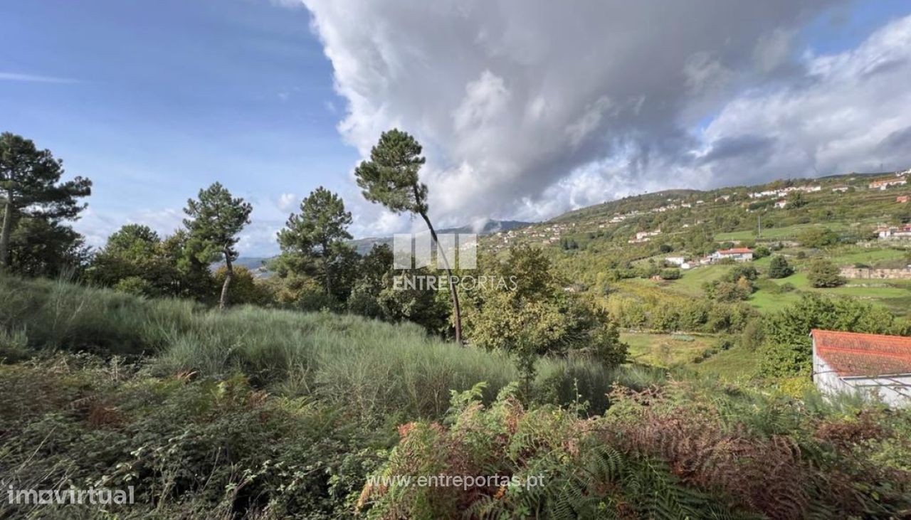 Terrain à Baiao, Portugal 9661m² No. 59413