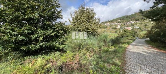 Terrain à Baiao, Portugal 9661m² No. 59413 13