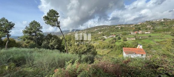 Terrain à Baiao, Portugal 9661m² No. 59413 3