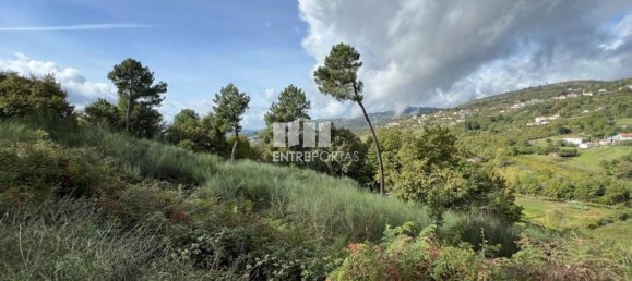 Terrain à Baiao, Portugal 9661m² No. 59413 5