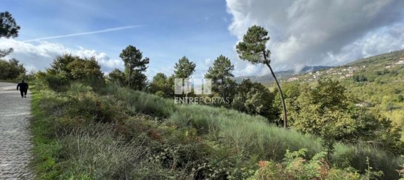 Terrain à Baiao, Portugal 9661m² No. 59413 7