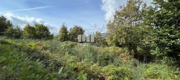 Terrain à Baiao, Portugal 9661m² No. 59413 9