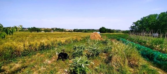 Вилла с 3 спальнями в Римини, Италия № 334912 44