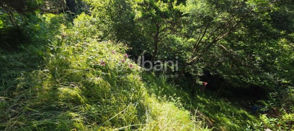 Casa de 4 habitaciónes en Follo, Italy No. 299866 13