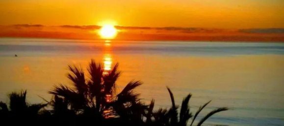 1 bedroom Apartment in Estepona, Spain No. 137562 2