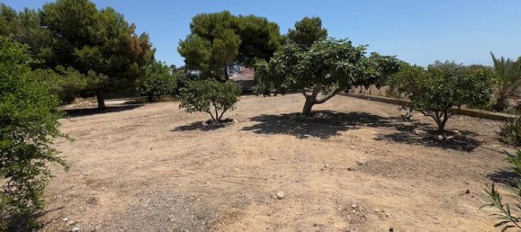 3 bedrooms House in Torrellano, Spain No. 185203 26