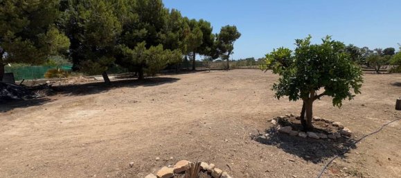 3 bedrooms House in Torrellano, Spain No. 185203 25