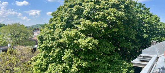 Apartamento de 5 divisões em Dobling, Austria N.º 151631 13