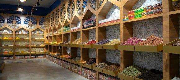 50m² Commercial property in Alanya, Turkey No. 4468 17