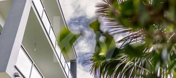 3 Schlafzimmer Haus in Ribeira Brava, Portugal, Nr. 77589 3