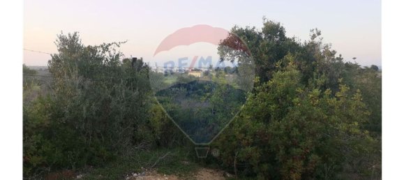 10040m² Land in Portimao, Portugal No. 30842 6
