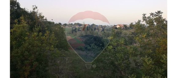 10040m² Land in Portimao, Portugal No. 30842 7