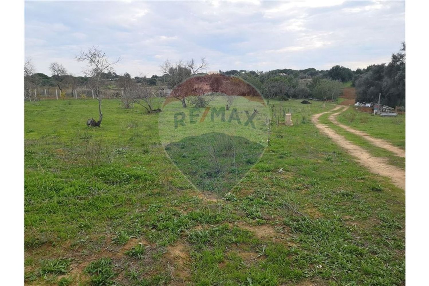 10040m² Land in Portimao, Portugal No. 30842
