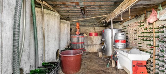 4 chambres Maison à Celorico de Basto, Portugal No. 43465 16