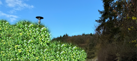 5 غرف نوم تاون هاوس في Waldeck-Frankenberg, Germany رقم 188877 6