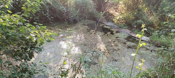 4 غرف نوم منزل في Castelo de Paiva, Portugal رقم 47976 15